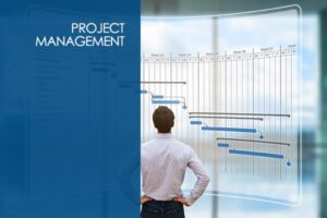 Project Management Professional (PMP) 6th edition PMBOK - January 2
